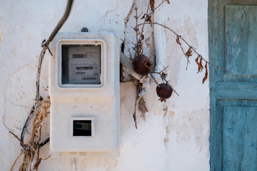 Old electric meter on a textured wall with dried branches.