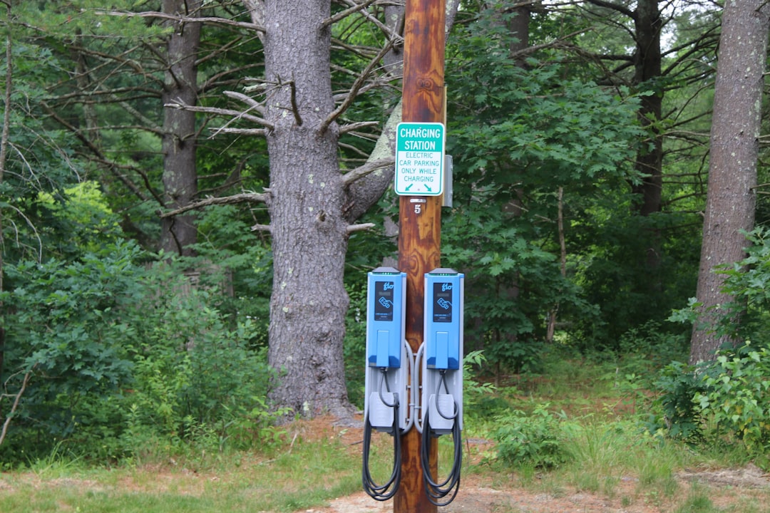 a telephone pole with a sign on it